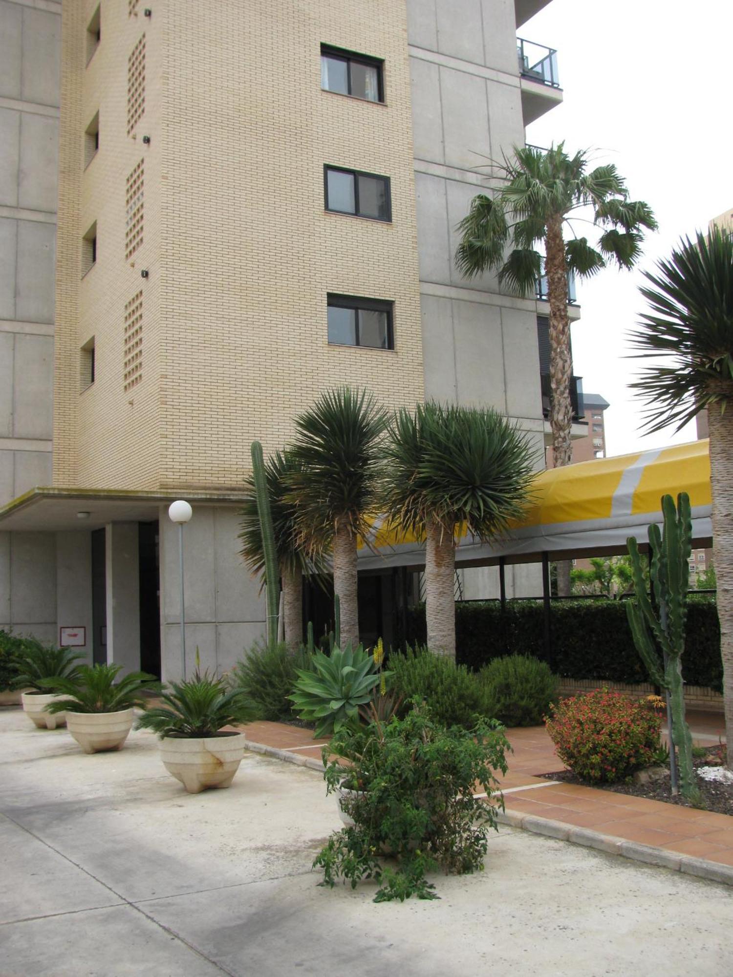Apartamentos Torre Ipanema بينايدورم المظهر الخارجي الصورة
